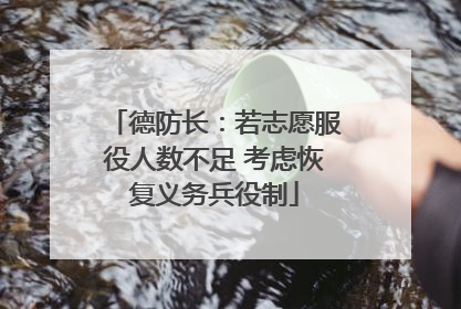 德防长：若志愿服役人数不足 考虑恢复义务兵役制