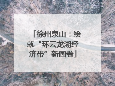 徐州泉山：绘就“环云龙湖经济带”新画卷