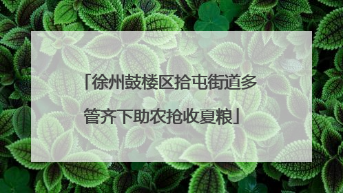 徐州鼓楼区拾屯街道多管齐下助农抢收夏粮