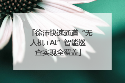 徐沛快速通道“无人机+AI”智能巡查实现全覆盖