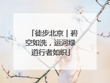 徒步北京｜碧空如洗，运河绿道行者如织