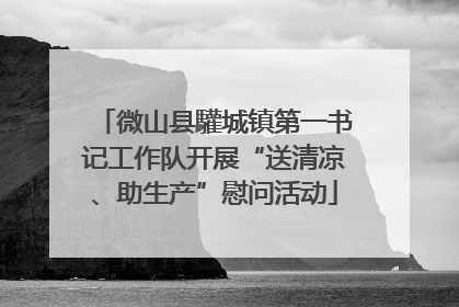 微山县驩城镇第一书记工作队开展“送清凉、助生产”慰问活动