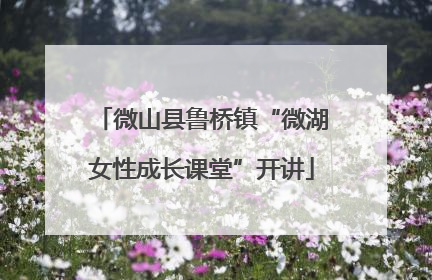 微山县鲁桥镇“微湖女性成长课堂”开讲