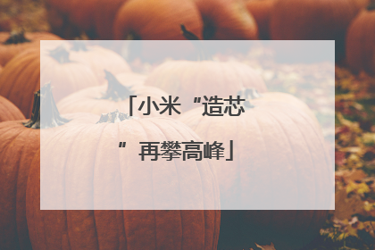 小米“造芯”再攀高峰