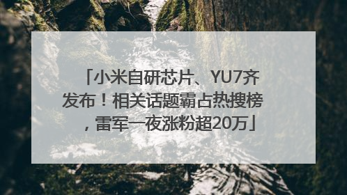 小米自研芯片、YU7齐发布！相关话题霸占热搜榜，雷军一夜涨粉超20万