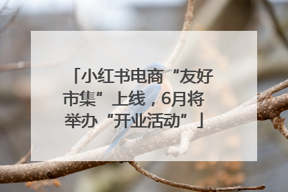 小红书电商“友好市集”上线，6月将举办“开业活动”