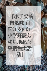 小手采摘自然味 宜宾江安西江小学开展劳动基地蔬菜采摘售卖活动