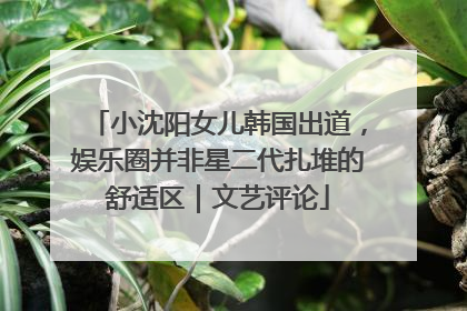 小沈阳女儿韩国出道，娱乐圈并非星二代扎堆的舒适区｜文艺评论
