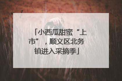 小西瓜甜蜜“上市”，顺义区北务镇进入采摘季