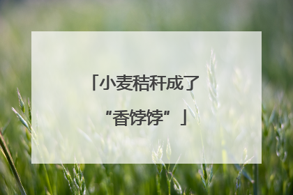 小麦秸秆成了“香饽饽”