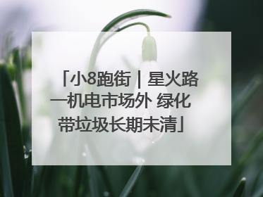 小8跑街｜星火路一机电市场外 绿化带垃圾长期未清