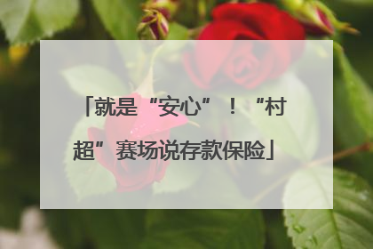 就是“安心”！“村超”赛场说存款保险
