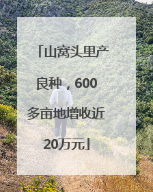 山窝头里产良种，600多亩地增收近20万元