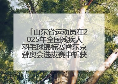 山东省运动员在2025年全国残疾人羽毛球锦标赛暨东京聋奥会选拔赛中斩获3银1铜
