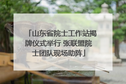 山东省院士工作站揭牌仪式举行 张联盟院士团队现场助阵