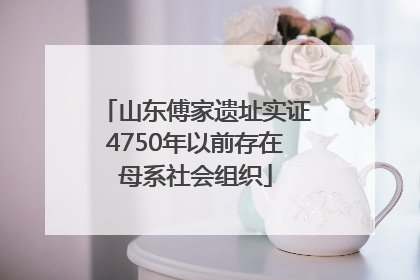 山东傅家遗址实证4750年以前存在母系社会组织