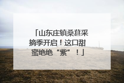 山东庄镇桑葚采摘季开启！这口甜蜜绝绝“紫”！
