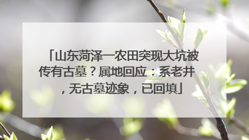 山东菏泽一农田突现大坑被传有古墓？属地回应：系老井，无古墓迹象，已回填