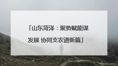 山东菏泽：聚势赋能谋发展 协同支农谱新篇