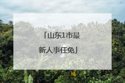 山东1市最新人事任免