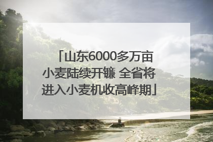 山东6000多万亩小麦陆续开镰 全省将进入小麦机收高峰期