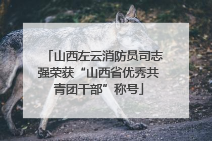 山西左云消防员司志强荣获“山西省优秀共青团干部”称号