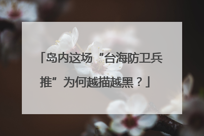 岛内这场“台海防卫兵推”为何越描越黑？