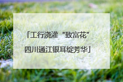 工行浇灌“致富花” 四川通江银耳绽芳华
