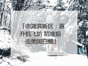 市湖滨新区：直升机飞防 精准狙击美国白蛾