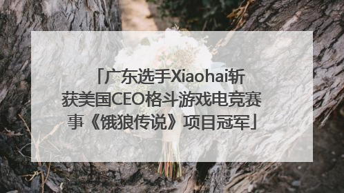 广东选手Xiaohai斩获美国CEO格斗游戏电竞赛事《饿狼传说》项目冠军