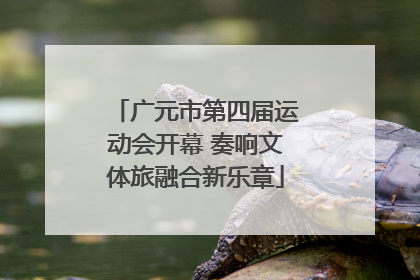 广元市第四届运动会开幕 奏响文体旅融合新乐章