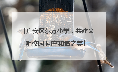 广安区东方小学：共建文明校园 同享和谐之美