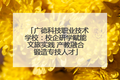 广德科技职业技术学校：校企研学赋能文旅实践 产教融合锻造专技人才