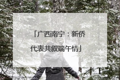 广西南宁：新侨代表共叙端午情