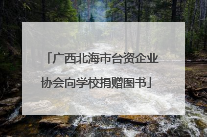 广西北海市台资企业协会向学校捐赠图书