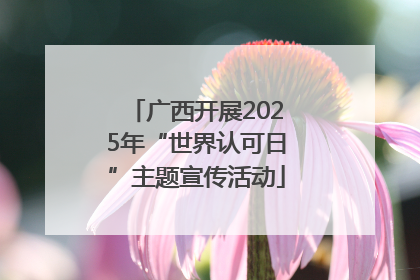 广西开展2025年“世界认可日”主题宣传活动