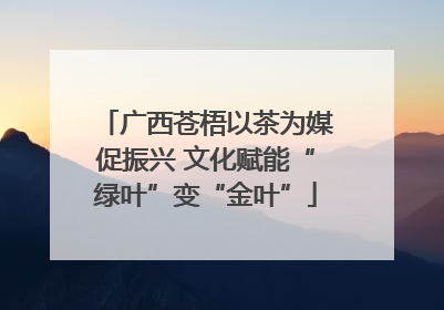 广西苍梧以茶为媒促振兴 文化赋能“绿叶”变“金叶”
