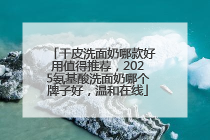 干皮洗面奶哪款好用值得推荐，2025氨基酸洗面奶哪个牌子好，温和在线