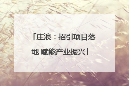 庄浪：招引项目落地 赋能产业振兴