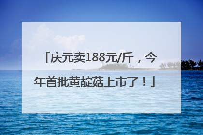 庆元卖188元/斤，今年首批黄靛菇上市了！