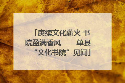 庚续文化薪火 书院盈满香风——单县“文化书院”见闻