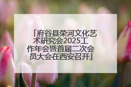 府谷县荣河文化艺术研究会2025工作年会暨首届二次会员大会在西安召开