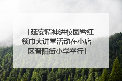 延安精神进校园暨红领巾大讲堂活动在小店区晋阳街小学举行