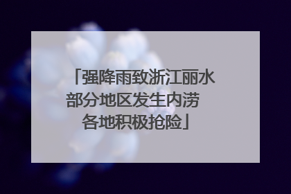 强降雨致浙江丽水部分地区发生内涝 各地积极抢险