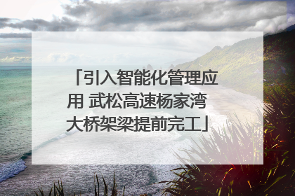 引入智能化管理应用 武松高速杨家湾大桥架梁提前完工