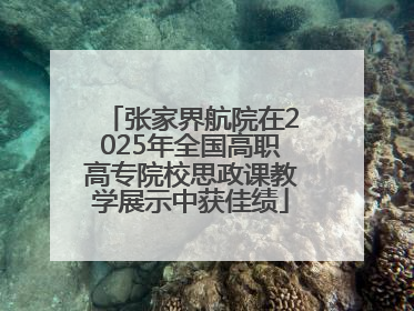张家界航院在2025年全国高职高专院校思政课教学展示中获佳绩