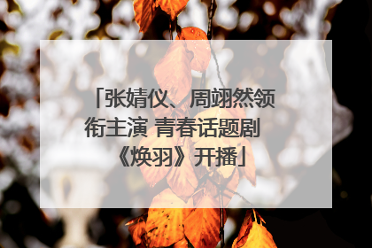 张婧仪、周翊然领衔主演 青春话题剧《焕羽》开播