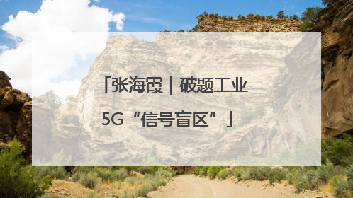 张海霞｜破题工业5G“信号盲区”