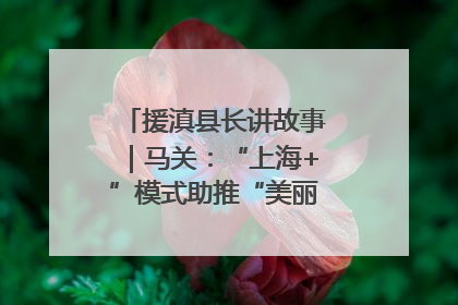 援滇县长讲故事｜马关：“上海+”模式助推“美丽产业”幸福绽放