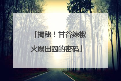 揭秘！甘谷辣椒火爆出圈的密码